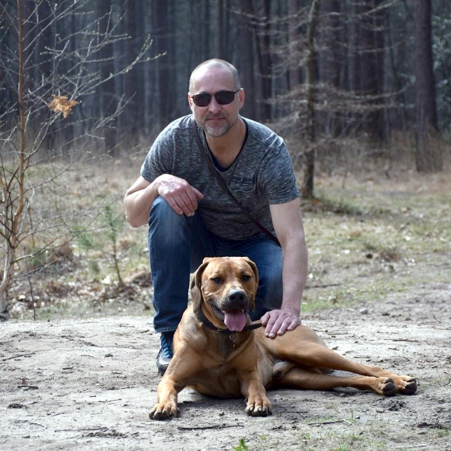 Harvey (1 year), Netherlands